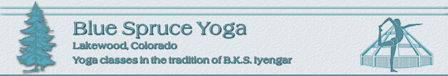 Blue Spruce Yoga, Lakewood, Colorado, yoga classes in the tradition of B.K.S. Iyengar